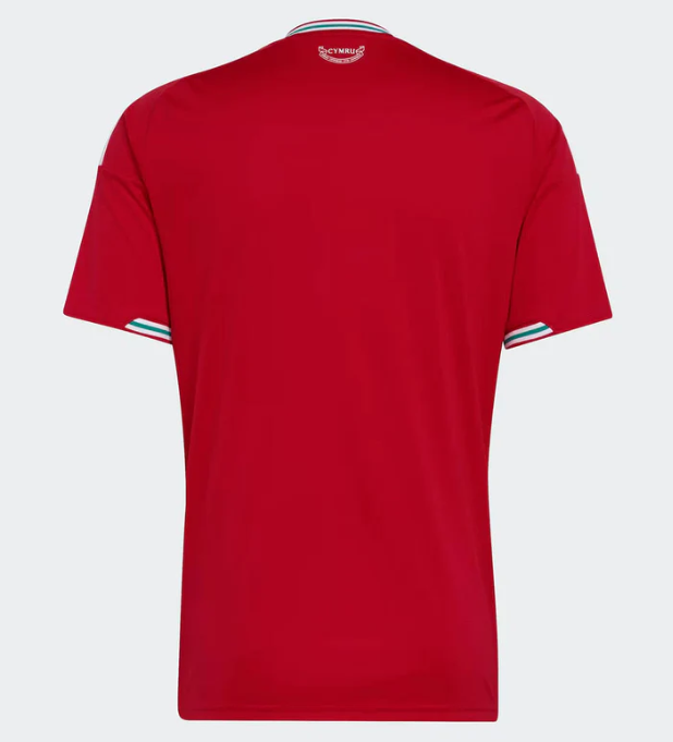 Maglia Galles Home 26/27