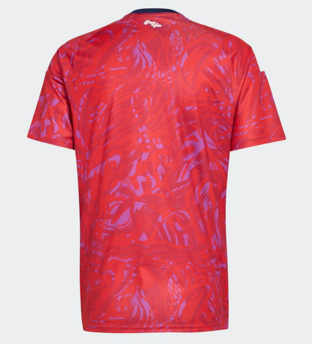 Maglia Costa Rica Home 26/27