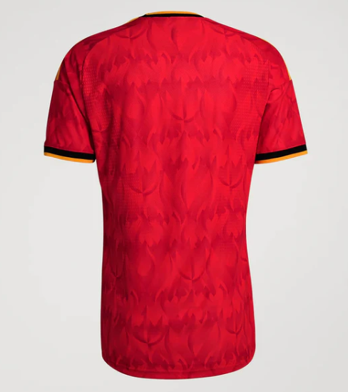Maglia Belgio Home 26/27