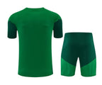 Maglia e Pantaloncini da Allenamento Bambino Algeria 26/27