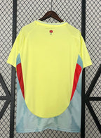 Maglia Spagna Away 24/25