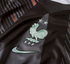 Maglia Francia Portiere 26/27